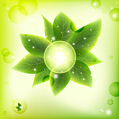 Image showing bright fresh green leaves  background