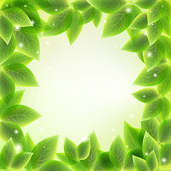 Image showing bright fresh green leaves  background