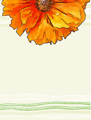 Image showing vector background with red poppy flower