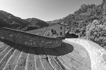 Image showing Devils Bridge Fisheye View, Lucca