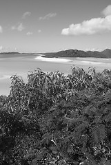 Image showing Whitehaven Beach, Australia