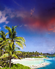 Image showing Cloudy Sky above Nassau Vegetation, Bahamas