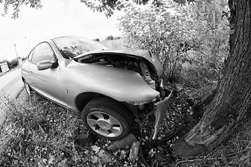 Image showing Car against a Tree, Italy