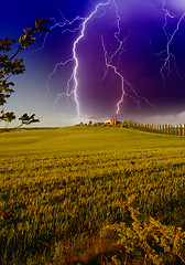 Image showing Farm house in the Tuscany region of Italy