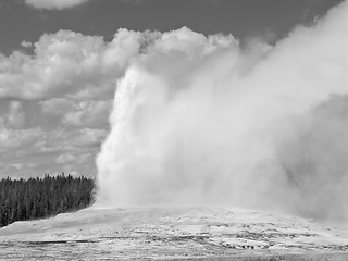 Image showing Old Faithful, Yellowstone National Park