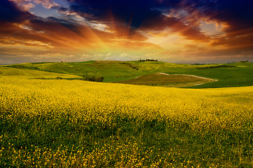 Image showing Landscape and Meadows of Tuscany, Spring Season