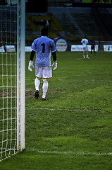 Image showing Goalkeeper Watching Soccer Match