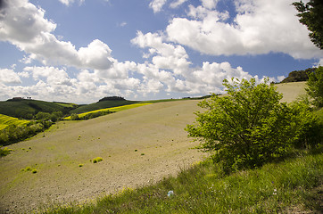 Image showing Meadows Colors of Tuscan Spring