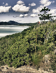 Image showing Paradise of Whitsunday Islands National Park