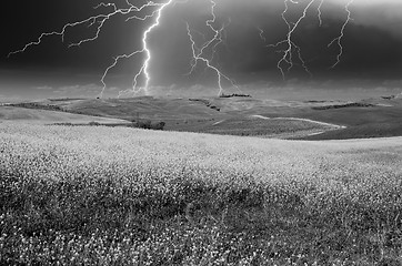 Image showing Stormy weather above Tuscan Meadow, spring time