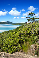 Image showing Whitehaven Beach, Australia