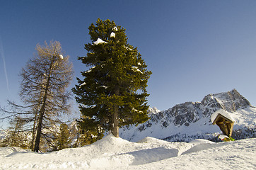 Image showing Snowy Landscape of Dolomites Mountains during Winter