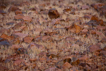 Image showing Australian Outback