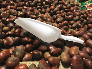 Image showing Chestnuts in a Box, Italy