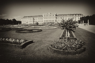 Image showing Gardens and Flowers inside Schonbrunn Castle