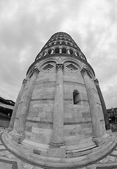 Image showing Leaning Tower of Pisa in Miracle Square, Fisheye View