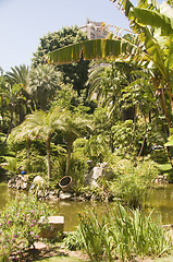 Image showing garden with pond Monte Carlo Monaco