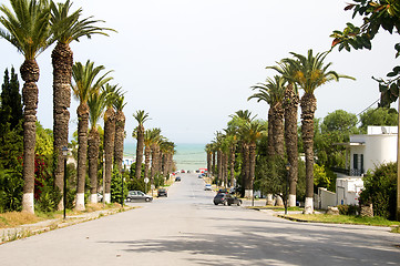 Image showing Rue Dag Hammarskjoeld road Carthage-Hannibal Tunis Tunisia  to M