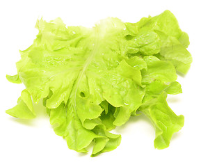 Image showing salad