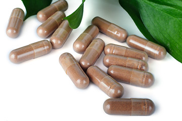 Image showing A lot of brown capsules on white background