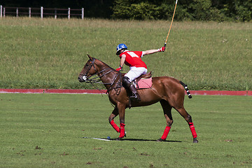 Image showing Polo player