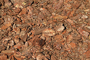 Image showing Wood bark chips