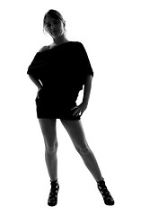 Image showing stylish silhouette of caucasian woman posin