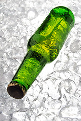 Image showing bottle of beer on ice