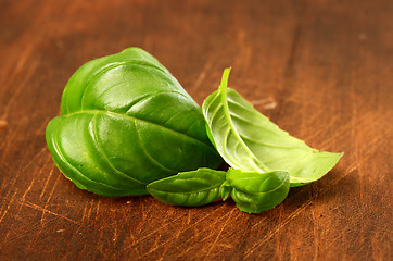 Image showing Fresh basil leaves