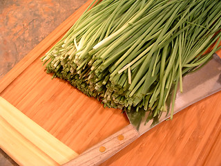 Image showing Chopping Chives