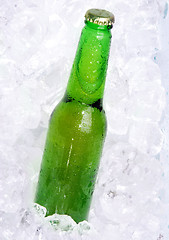 Image showing bottle of beer on ice