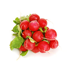 Image showing Fresh radishes 