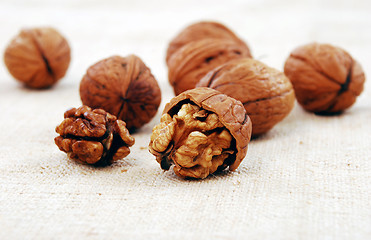 Image showing wallnuts close-up 
