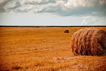 Image showing hay bale in the foreground of rural field 