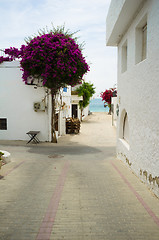 Image showing Andalusian village