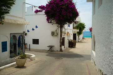 Image showing Agua Amarga