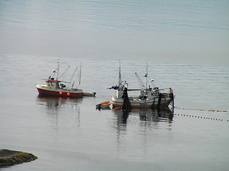 Image showing Sprat fishing 26.07.2004