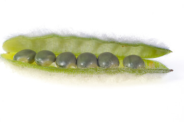 Image showing Green peas