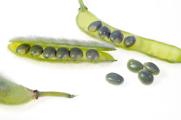 Image showing Green peas