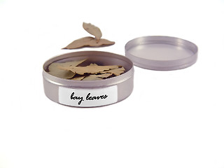 Image showing Bay Leaves