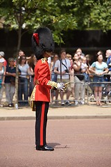 Image showing Trooping of the Colour, London 2006