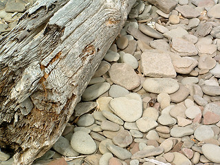 Image showing Driftwood and Stones