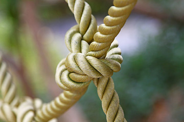 Image showing Ship rope with knot