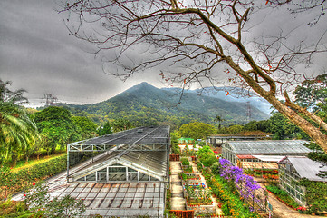 Image showing Greenhouse in countryside of Hong Kong, HDR image.