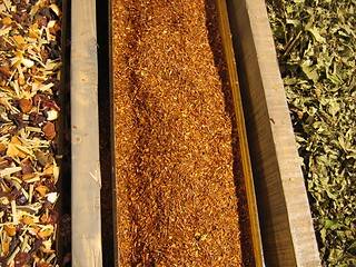 Image showing ROWS OF DRIED TEA LEAVES