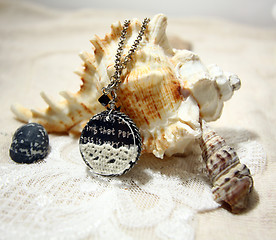 Image showing Necklace on shell