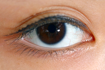 Image showing Woman eyes