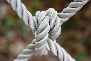 Image showing Ship rope with knot