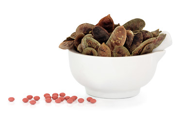 Image showing Senna Pods and Tablets