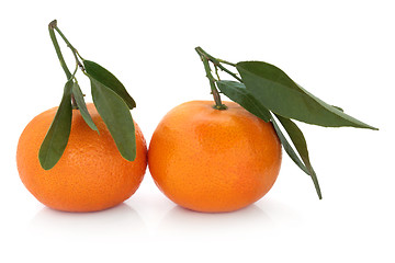 Image showing Satsuma Fruit